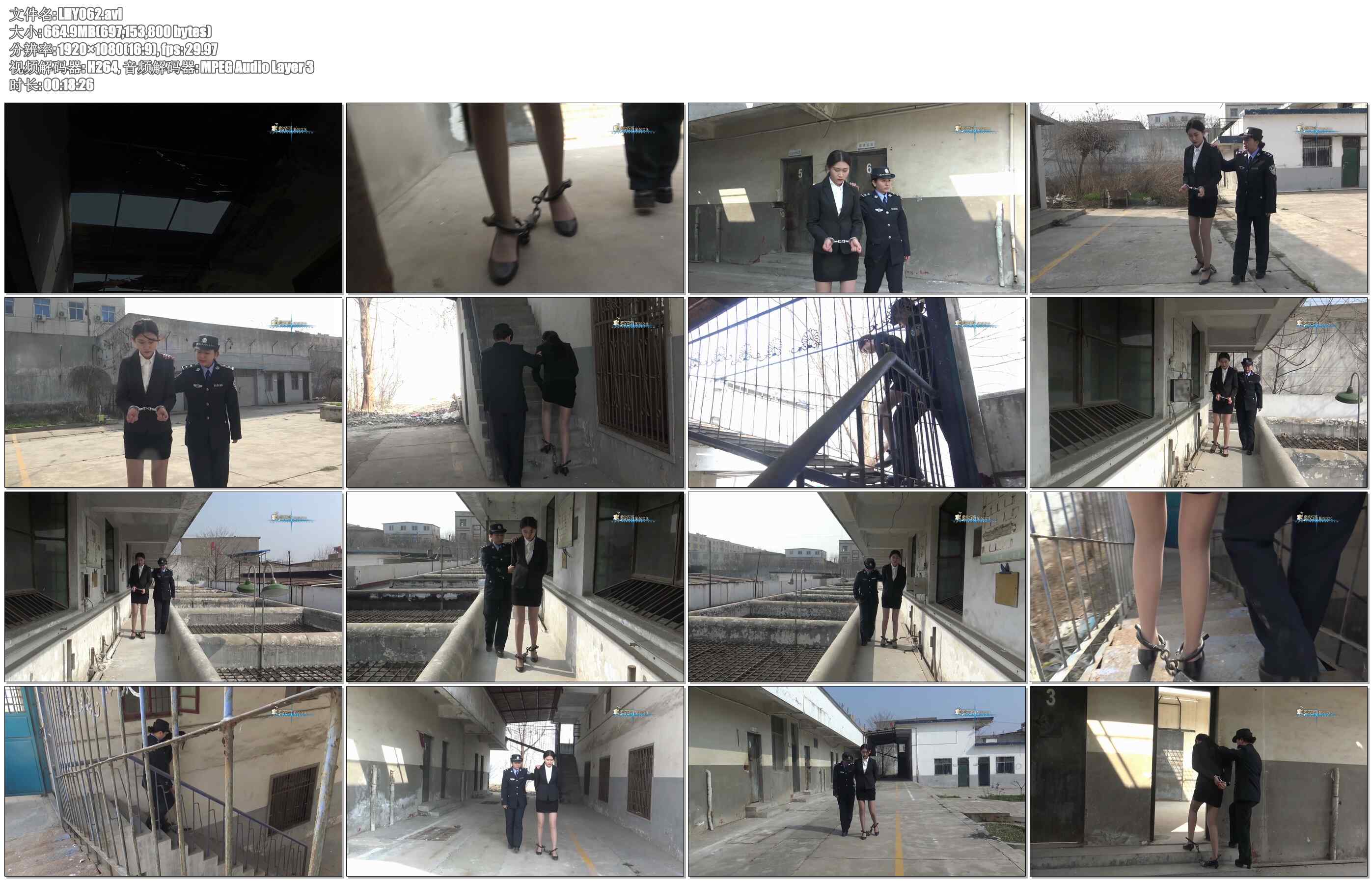 【梨花雨】VIP影片 押解4