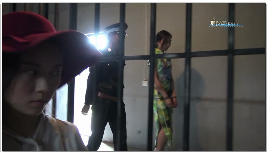 【梨花雨】风雨施虐落花去 纯净版