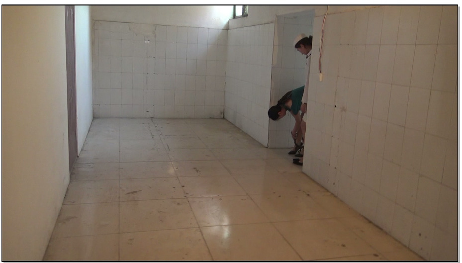 【梨花雨】坠落玫瑰