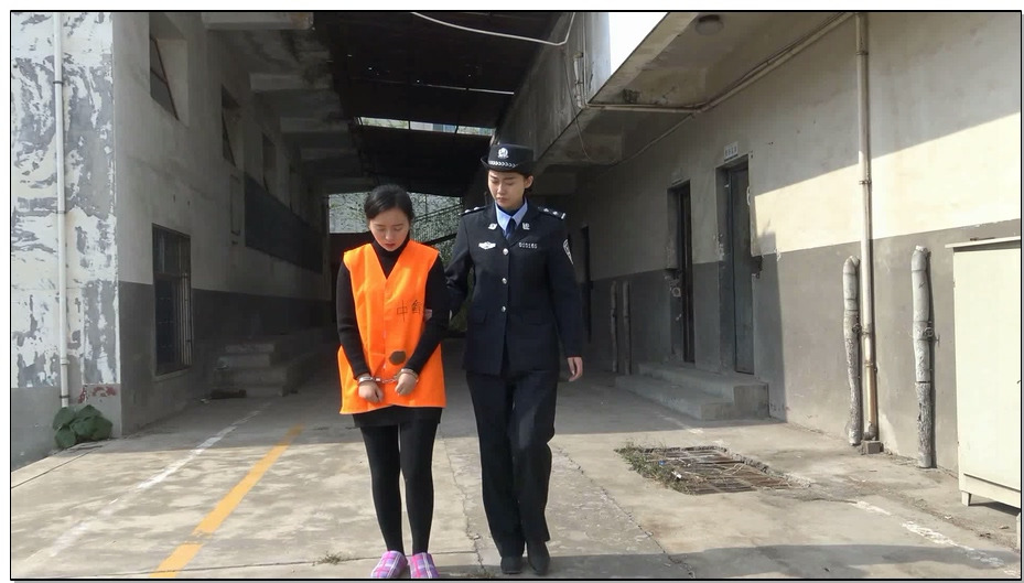 【梨花雨】定拍法制片3