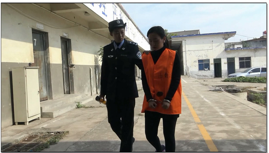 【梨花雨】定拍法制片3