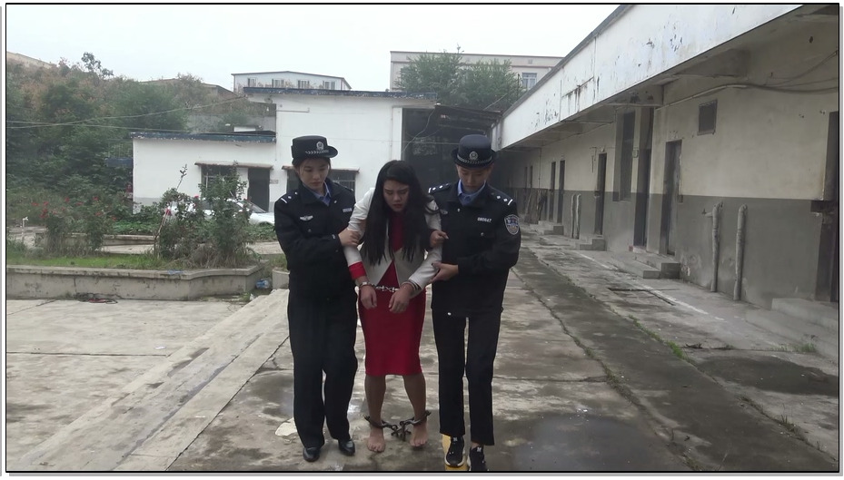 【梨花雨】秋寒