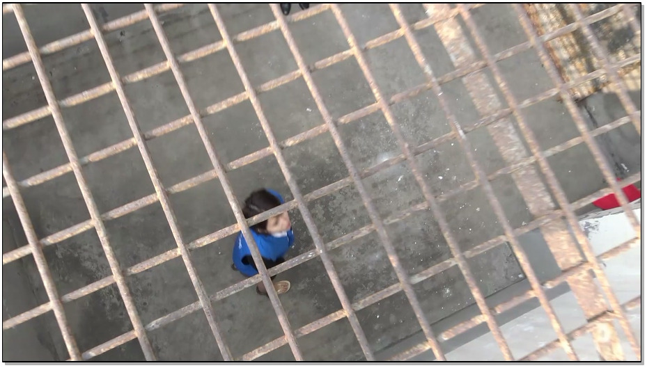 【梨花雨】红袖斜翻翠黛愁