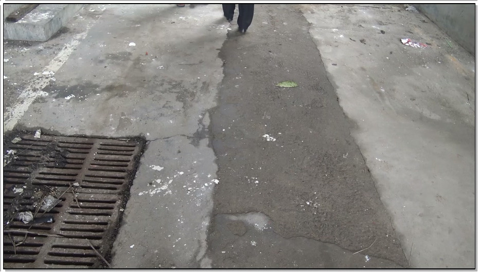 【梨花雨】走向深渊