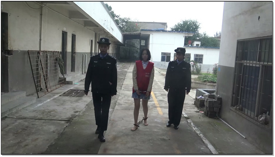 【梨花雨】走向深渊