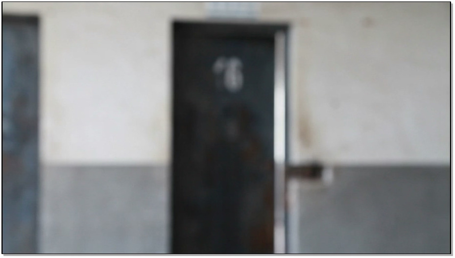 【梨花雨】毒妇