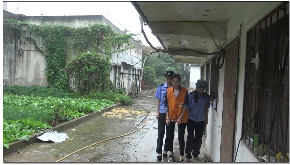 【梨花雨】女犯刘璇