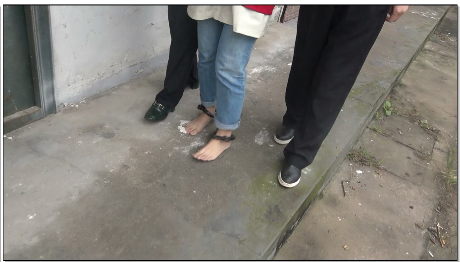 【梨花雨】伊人己逝