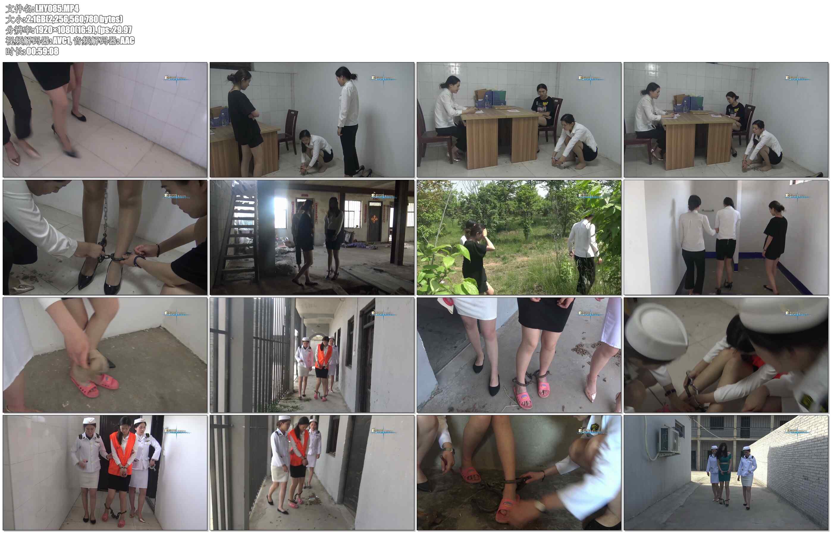 【梨花雨】原创 残花泪