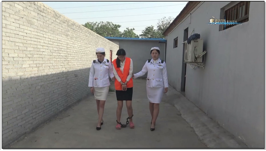 【梨花雨】原创 残花泪