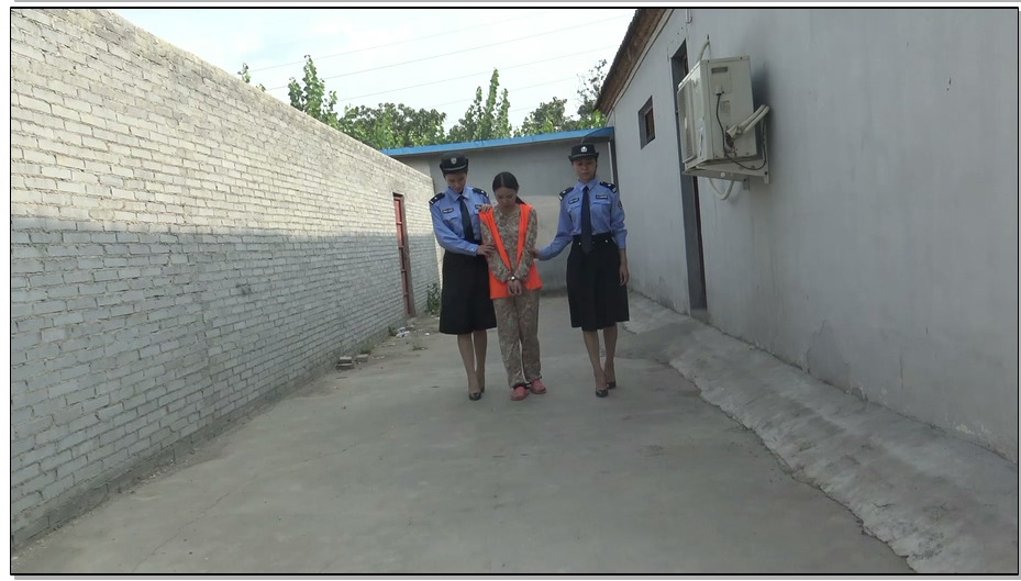 【梨花雨】寒花