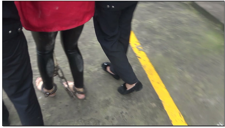 【梨花雨】血百合