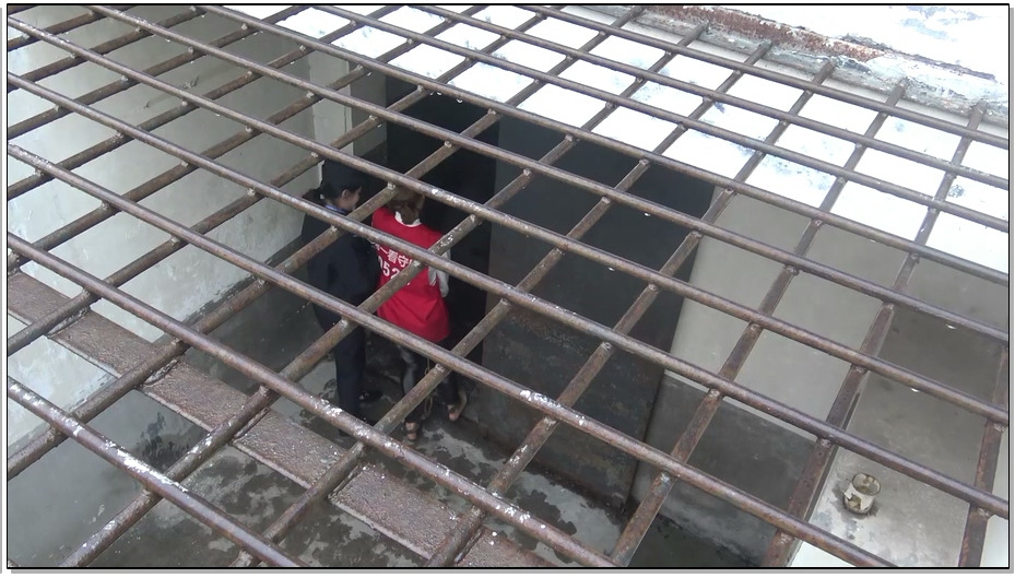 【梨花雨】血百合