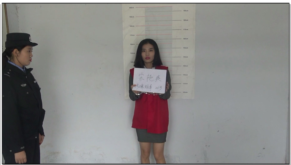 【梨花雨】南柯梦