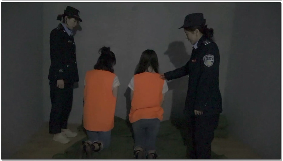 【梨花雨】堕落红颜