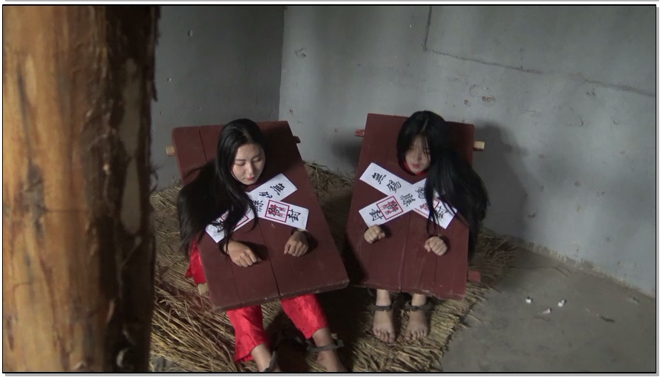 【梨花雨】毒妇