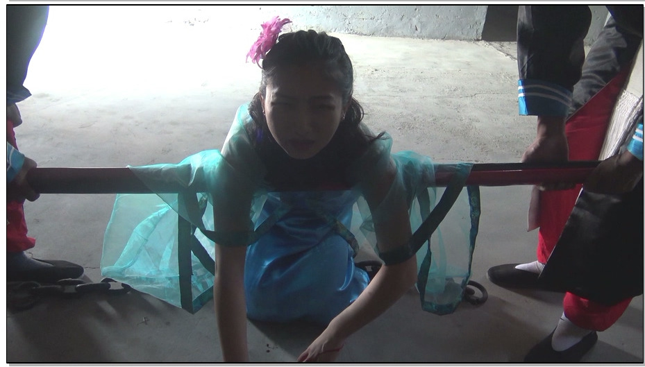 【梨花雨】花魁末路