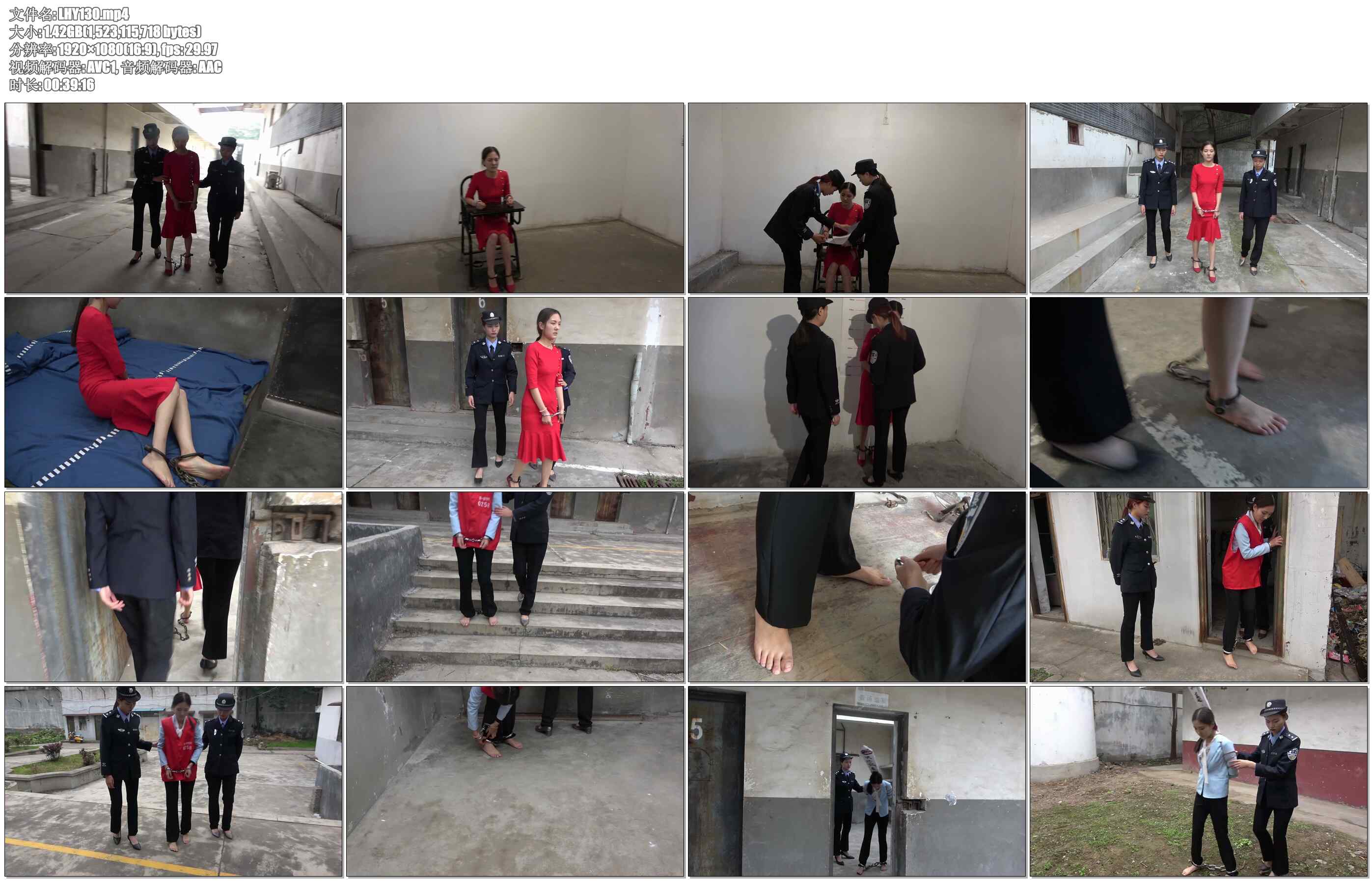 【梨花雨】红色罂粟花