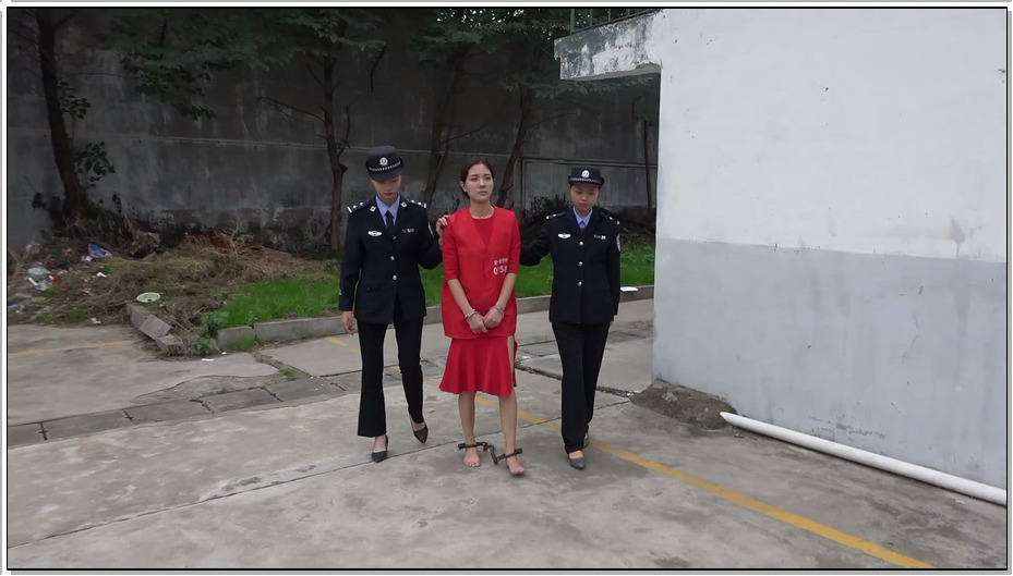 【梨花雨】红色罂粟花