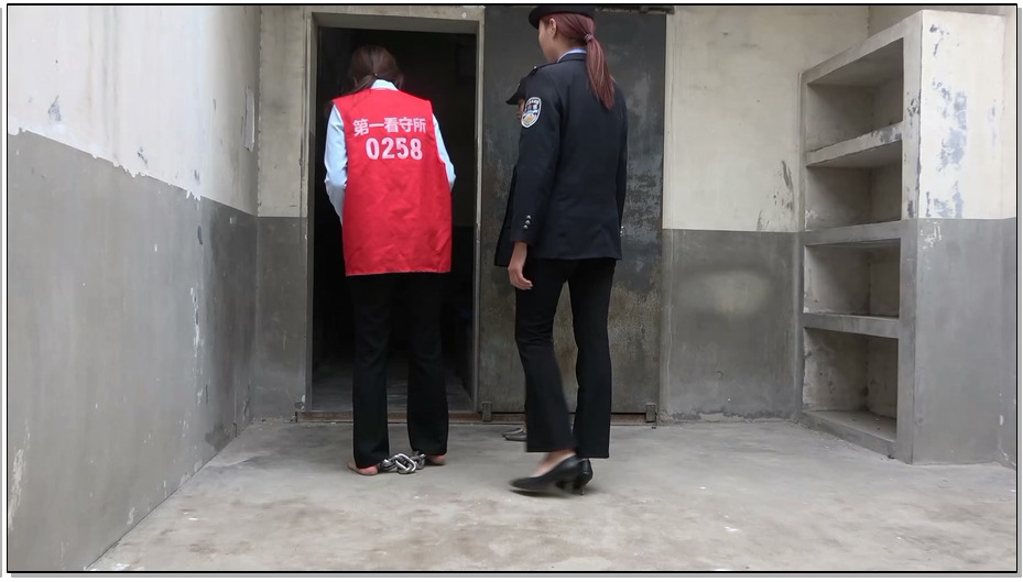 【梨花雨】红色罂粟花