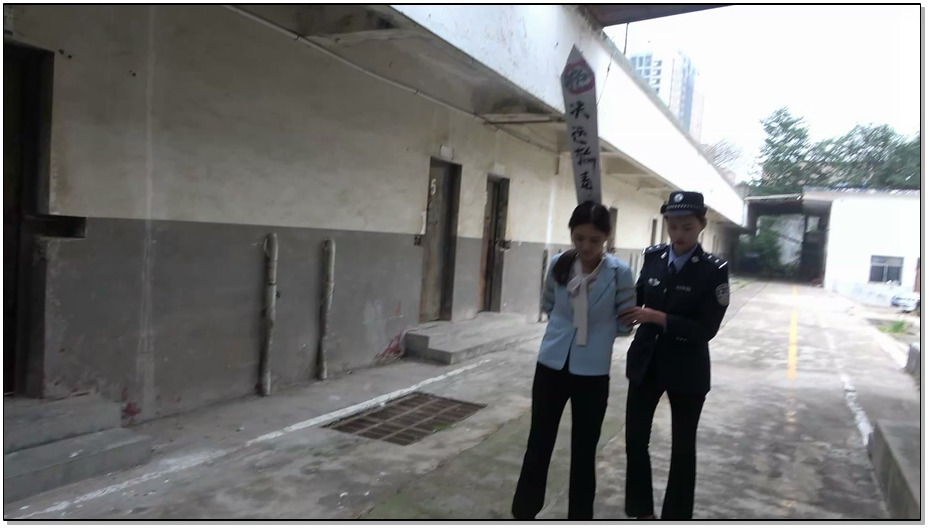 【梨花雨】红色罂粟花