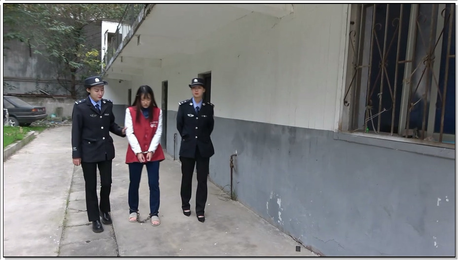 【梨花雨】贪婪的代价