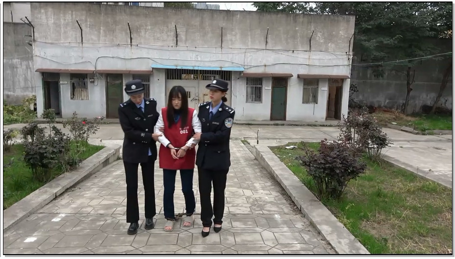 【梨花雨】贪婪的代价