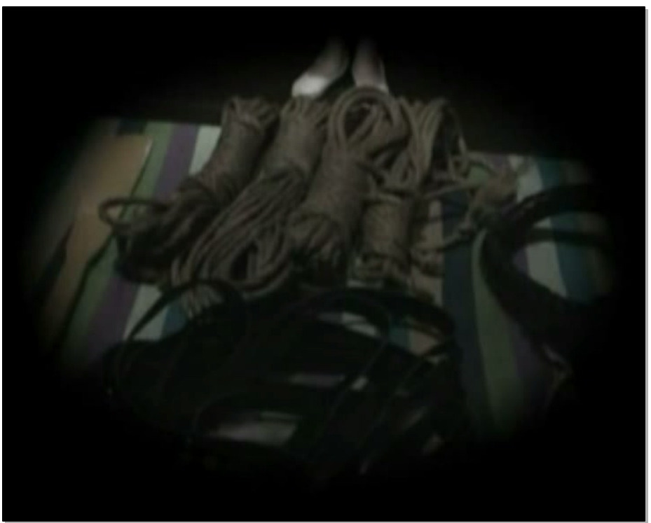 【丽佳美亚】夫妻交换