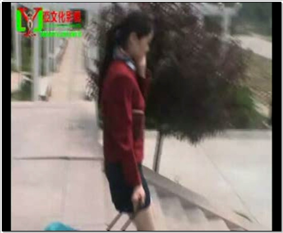 【丽佳美亚】劫持空姐