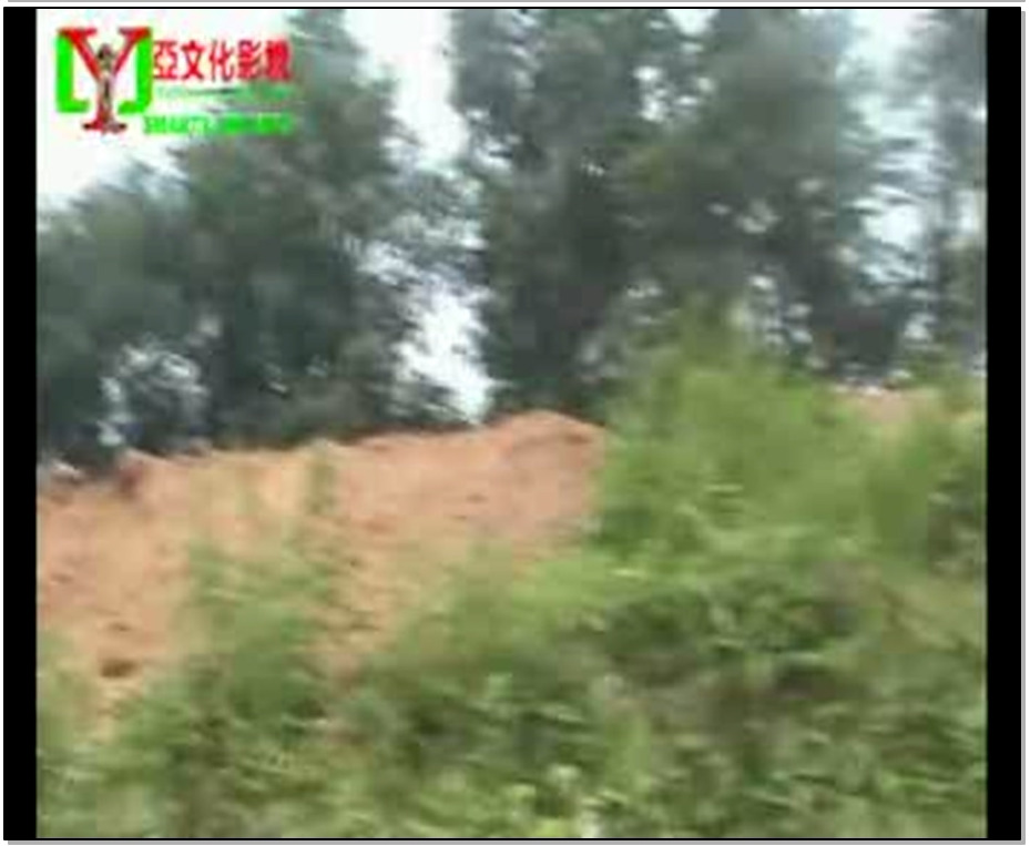 【丽佳美亚】劫持空姐