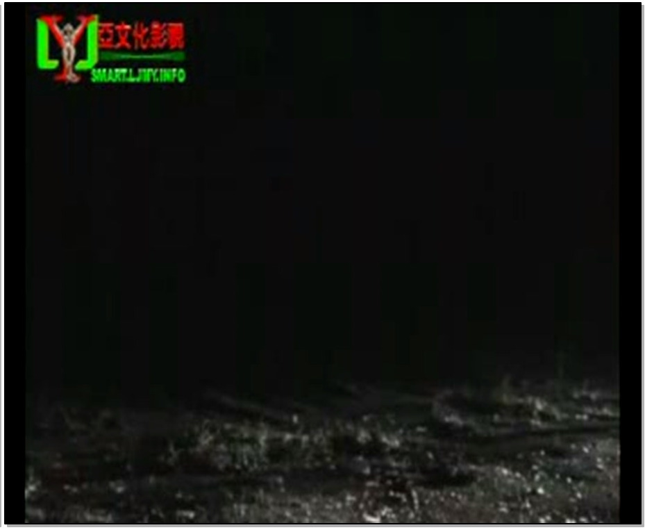 【丽佳美亚】劫持空姐