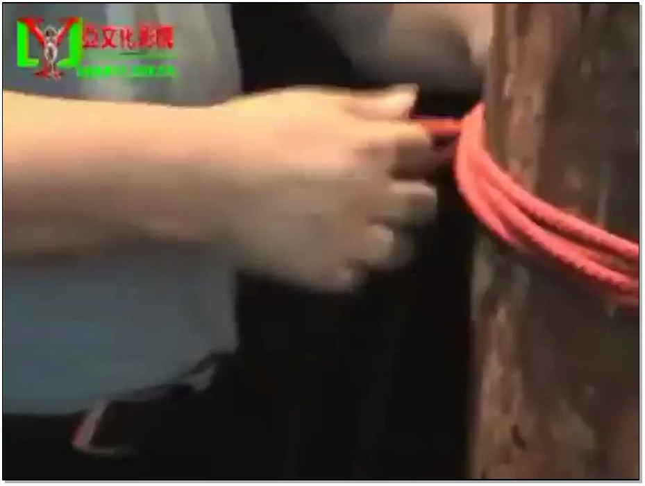 【丽佳美亚】PARTY － 苑苑，小Q， 湄湄，沙沙，平平