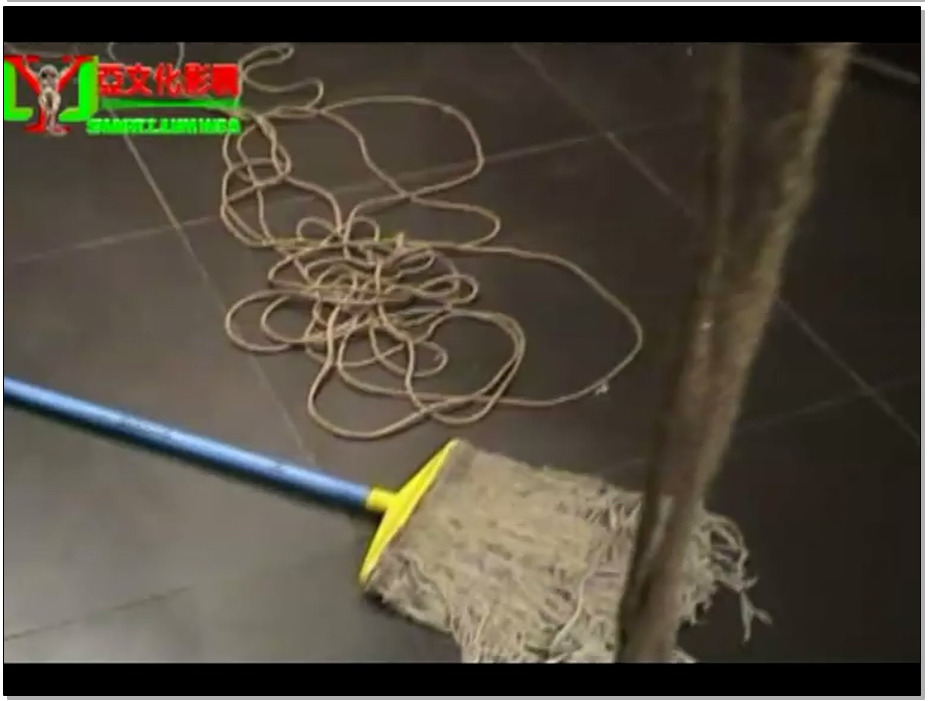 【丽佳美亚】海盗船上的可怜女仆-思思，悦溪，丽丽