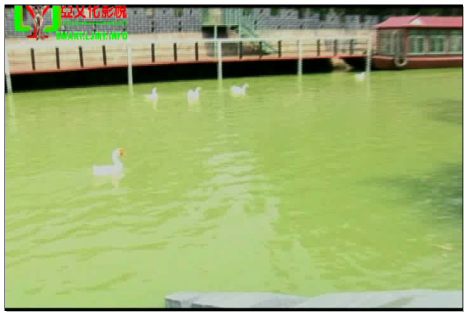 【丽佳美亚】丽佳仙子