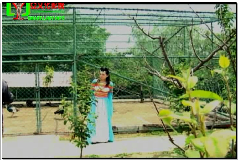 【丽佳美亚】丽佳仙子