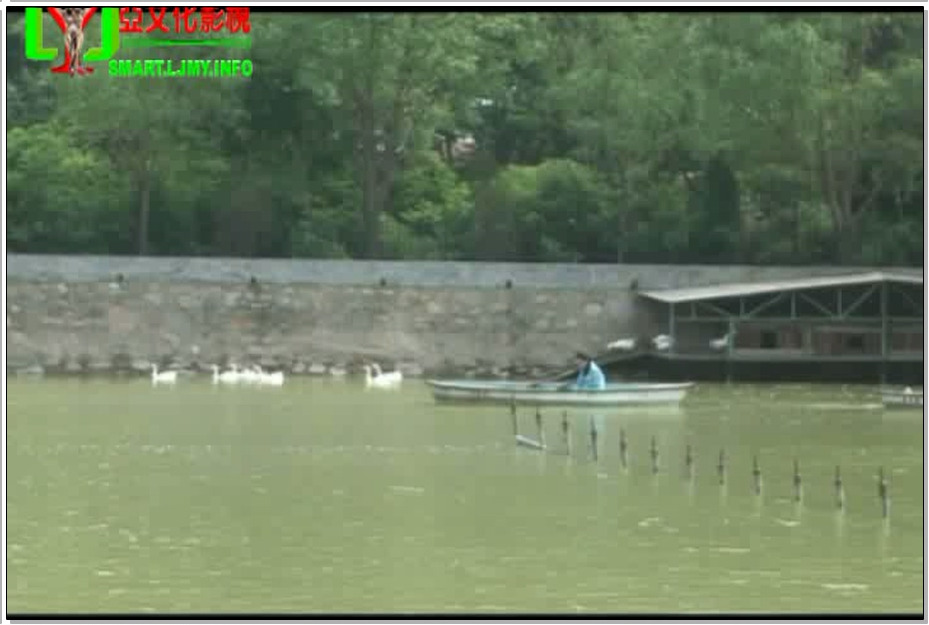 【丽佳美亚】丽佳仙子