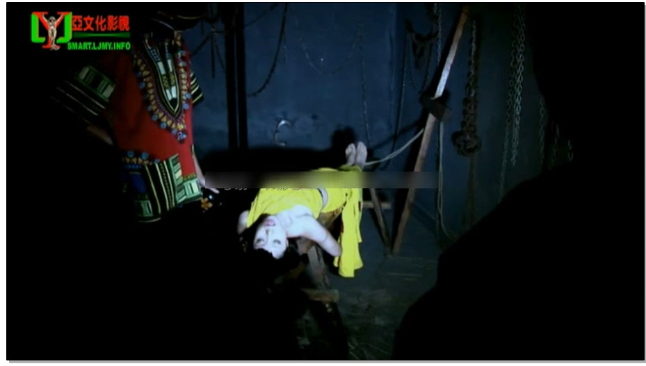 【丽佳美亚】摩雅傣