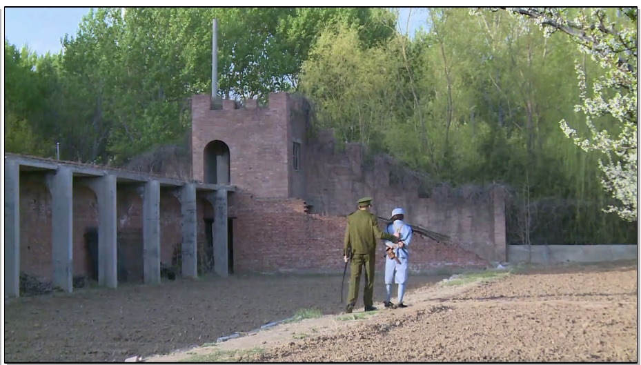 【丽佳美亚】遇袭 五花勒颈脚镣长途押解，五花树绑棒抽，关牢房！