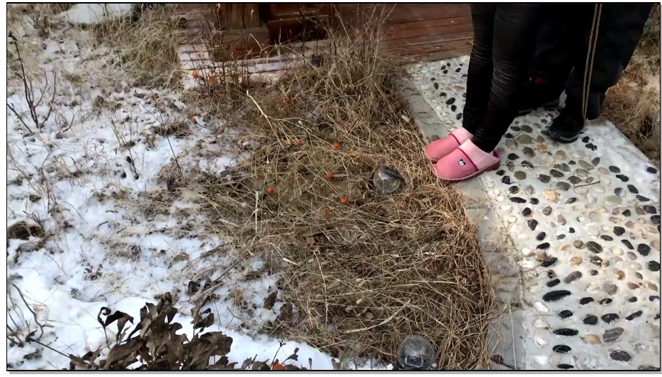 【丽佳美亚】潇潇 寒亭残雪捆绑露出(户外,手铐,脚镣,项圈,裸足,家务)