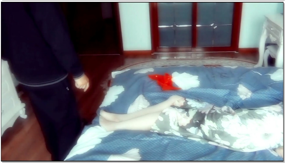 【丽佳美亚】闯入者 小泽