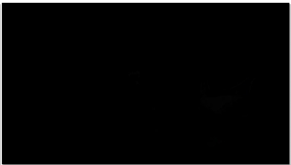 【丽佳美亚】鑫鑫：逃跑的新娘 