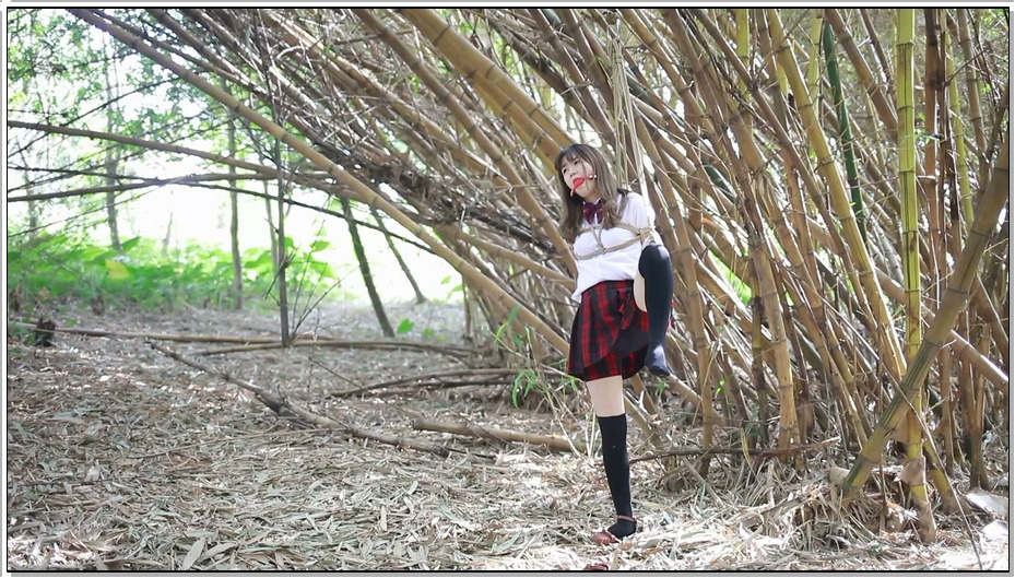【猎美工作室】林中少女 下集 单足高吊,可怜少女无力挣扎后手反调，蒙面押解