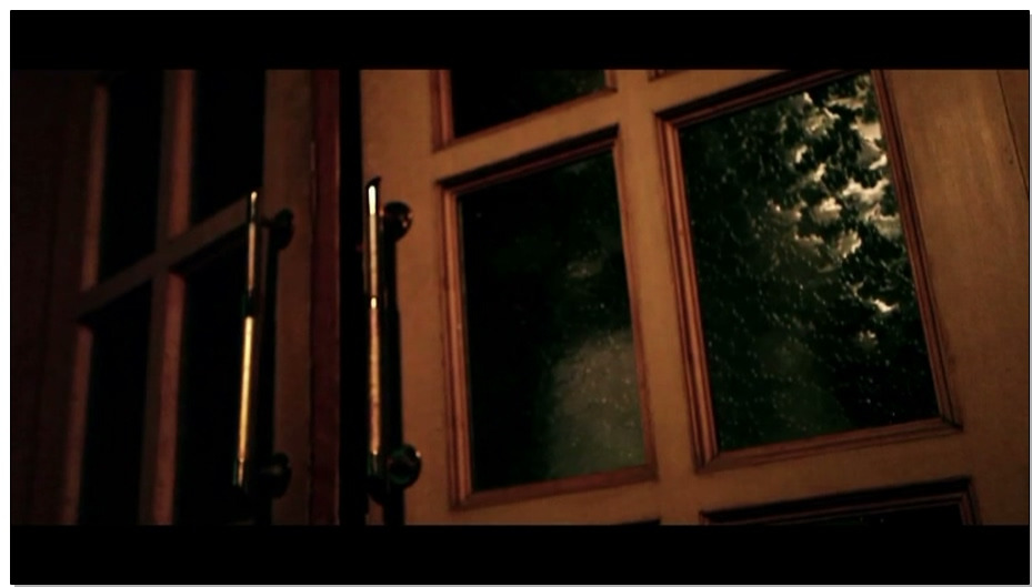 【老梦视觉】传说中的胡杨