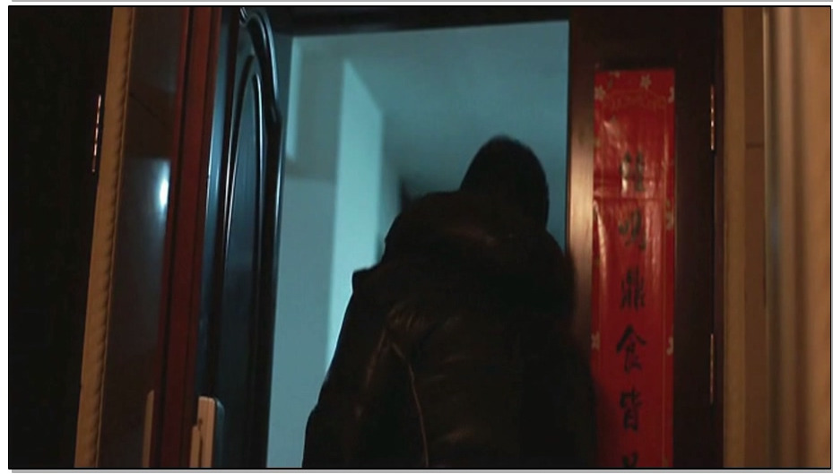 【老梦视觉】黄雀