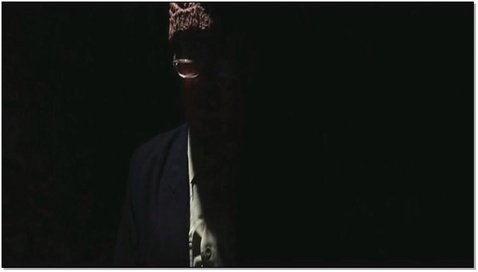 【老梦视觉】黄雀