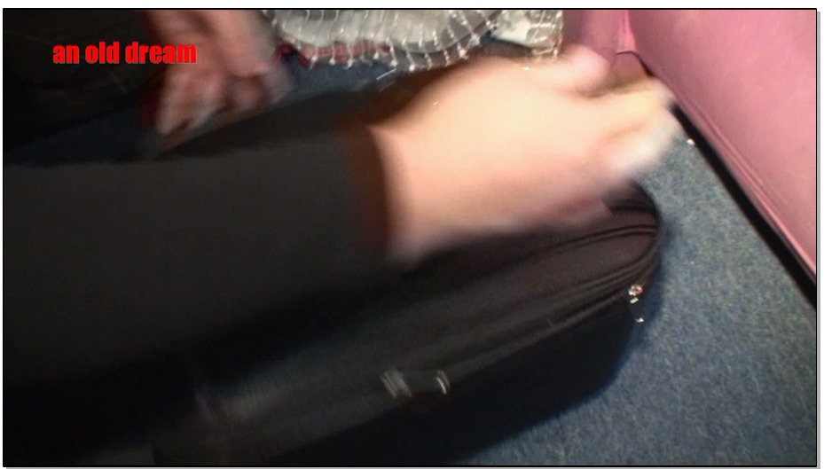 【老梦视觉】夜袭空姐