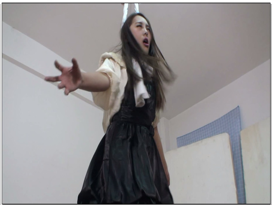 【老梦视觉】主仆的游戏