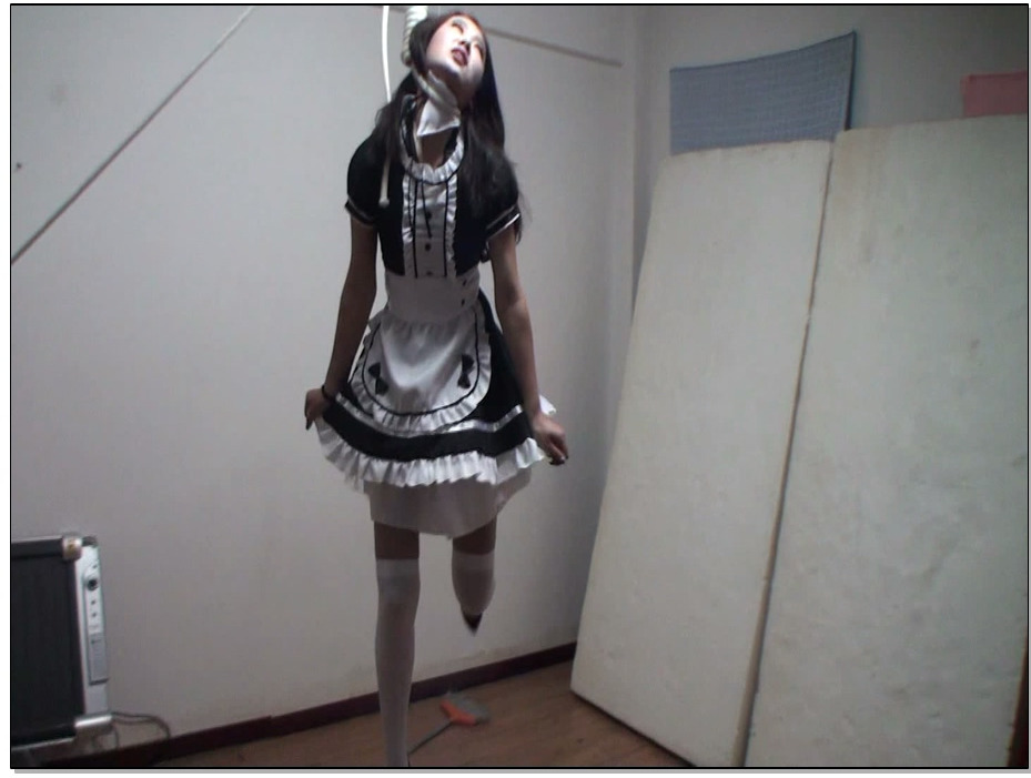 【老梦视觉】主仆的游戏