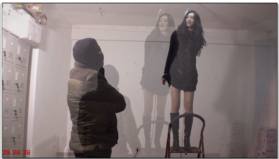 【老梦视觉】绝情 