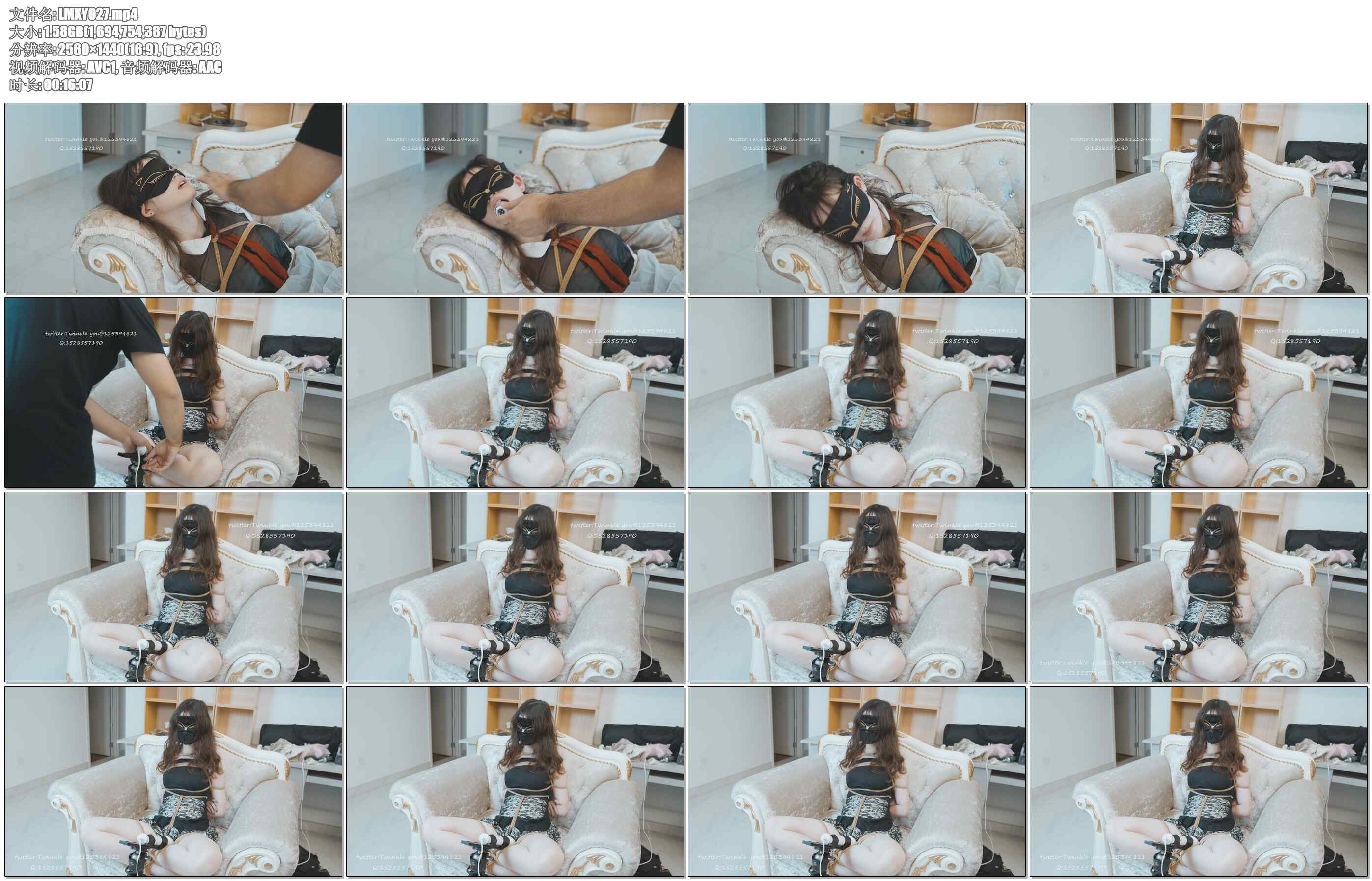 【LMXY】被调教的黑丝女仆